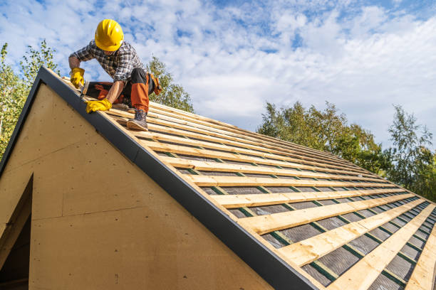 Best Metal Roofing Contractor  in Lodi, WI