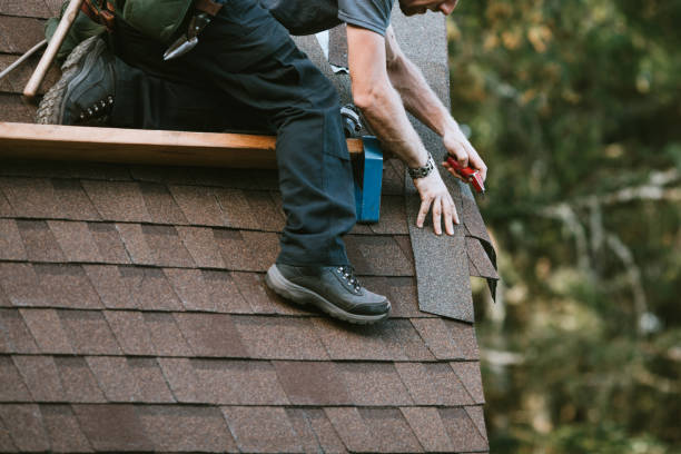 Best Metal Roofing Contractor  in Lodi, WI